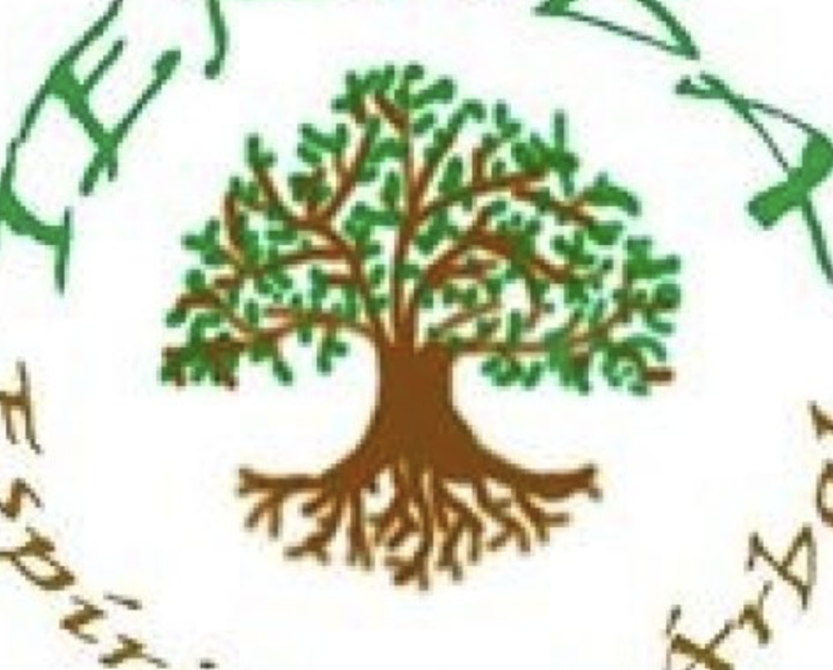 Captura de pantalla 2024 07 29 a las 3.00.36 a. m 768x618